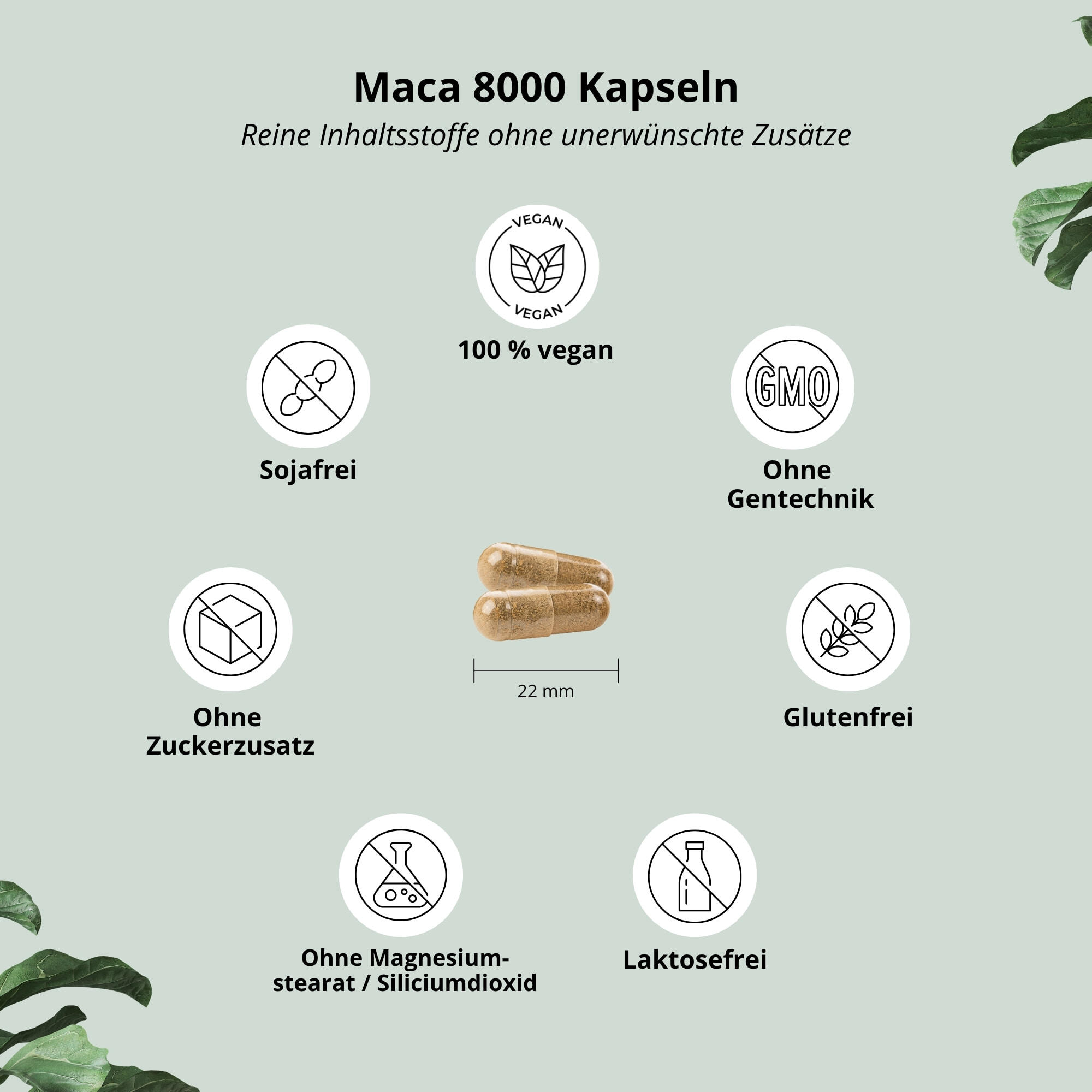 Maca 8000 - 60 Kapseln hochdosiert 4/6