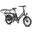 Bicicletă electrică Fafrees FF20 CUV Longtail, 12 Ah x 2 baterii, 250W