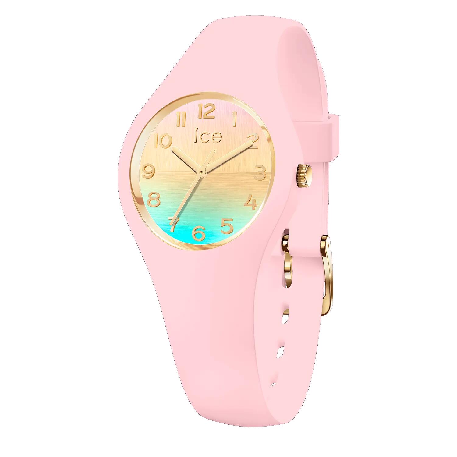 ICE WATCH picture