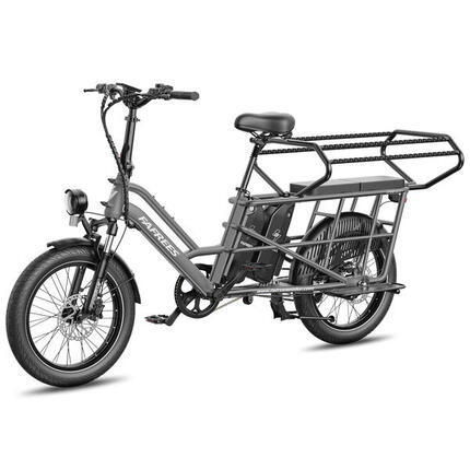 Fafrees FF20 CUV Longtail elektrische fiets, 2x 12 Ah accu's, 250W