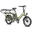 Bicicletă electrică Fafrees FF20 CUV Longtail, 12 Ah x 2 baterii, 250W