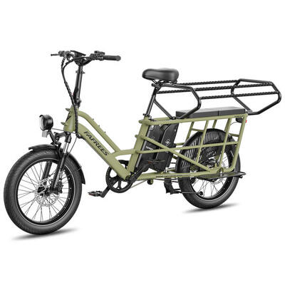 Fafrees ff20 cuv modulaire longtail e-bike – dubbele accu 30ah