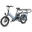 Bicicletă electrică FAFREES FF20 CUV Longtail – Baterie dublă 30AH