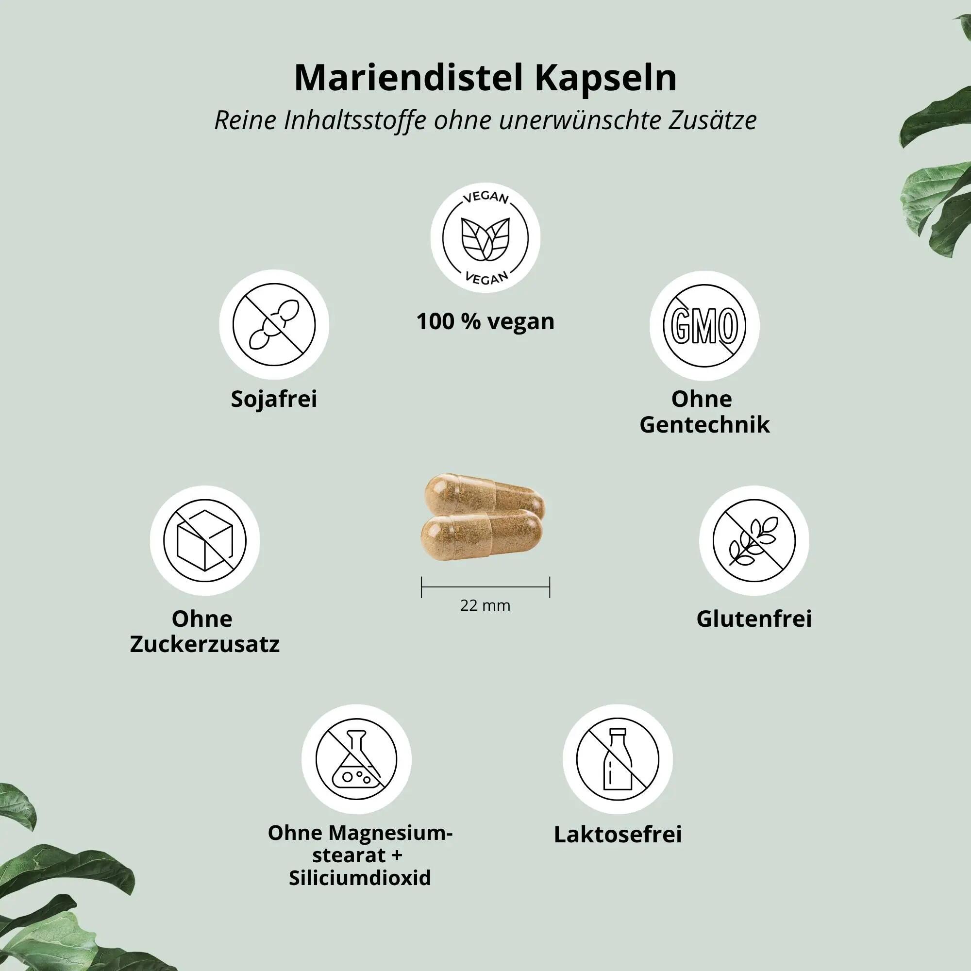 Mariendistel Kombi 90 Kapseln 4/6