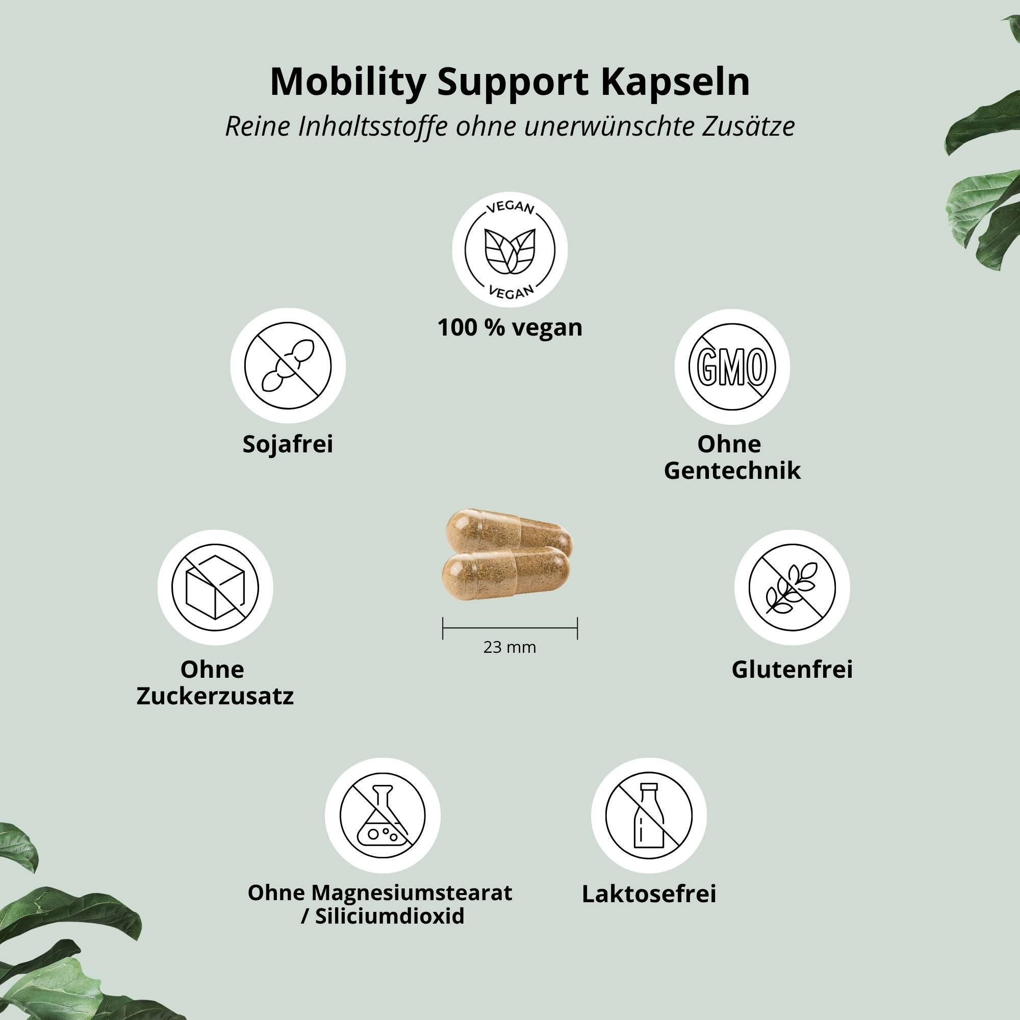 Mobility Support Gelenk Kapseln 4/5