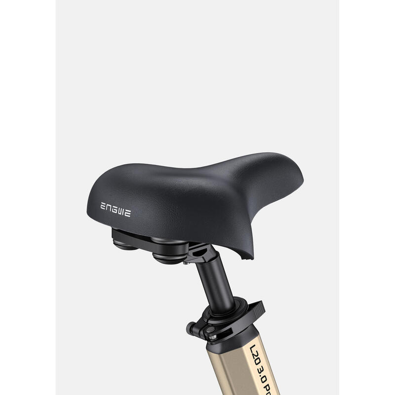 Bicicletă electrică ENGWE L20 3.0 Boost, cu acționare rapidă