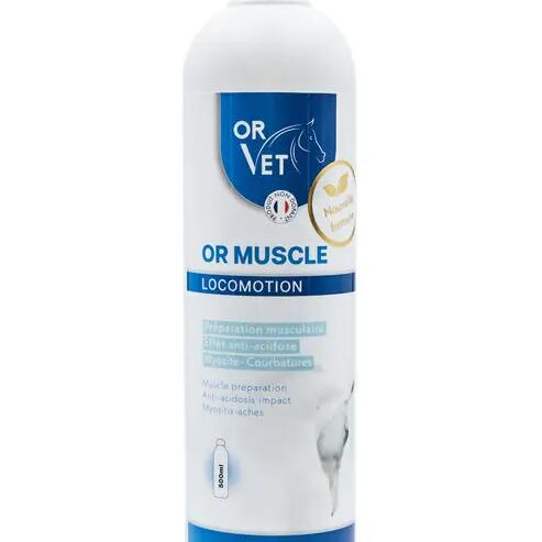 OR MUSCLE
