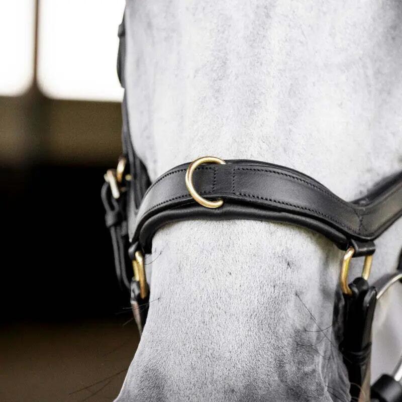 Bridon équitation anatomique Horseware Micklem Multi 3/6