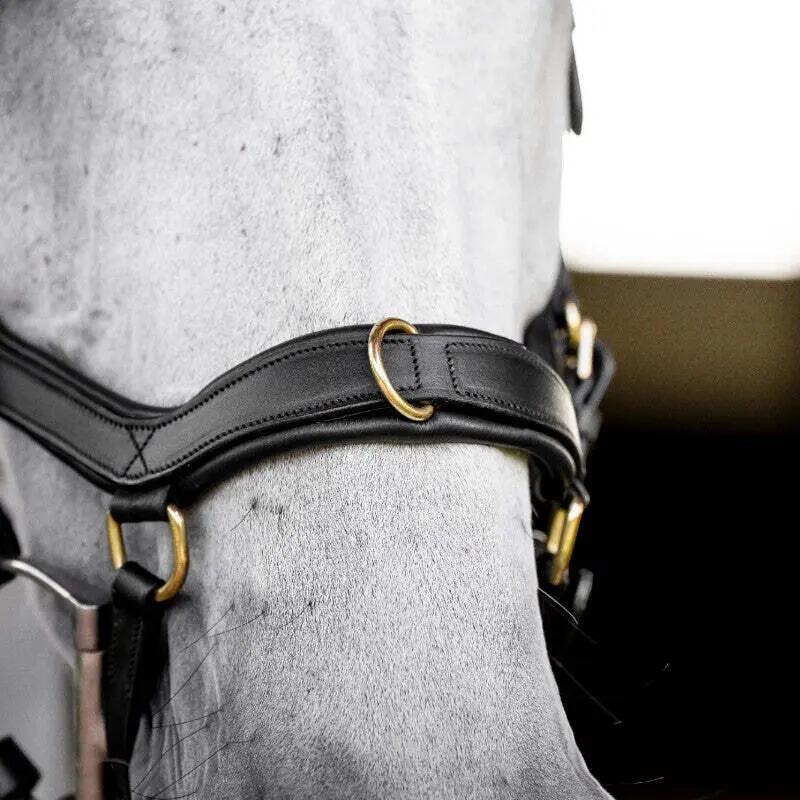 Bridon équitation anatomique Horseware Micklem Multi 2/6