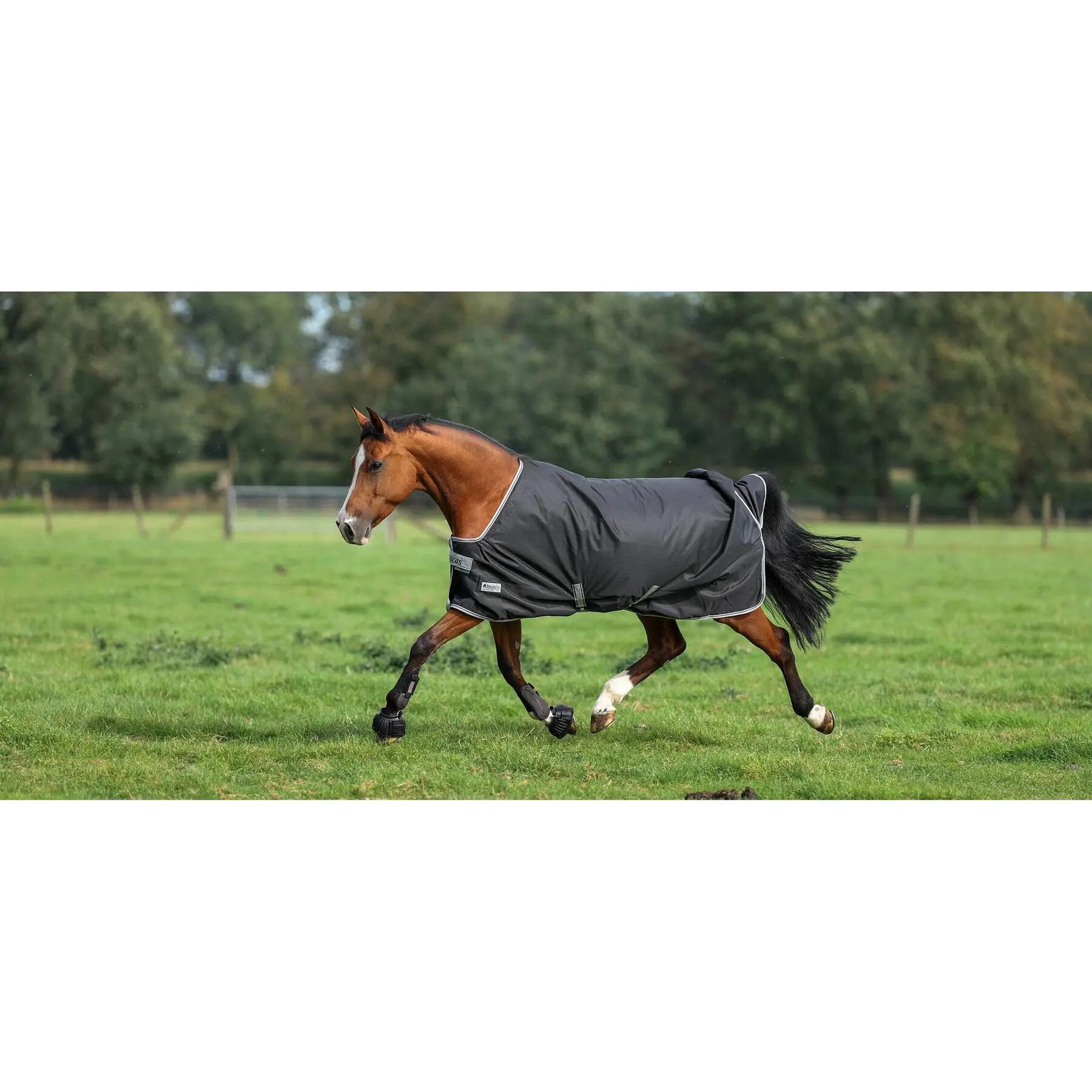 Manta de exterior para caballos Bucas Anniversary Turnout 50g 1/1