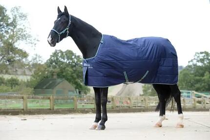 Couverture d'écurie pour cheval SD Bucas Quilt 150g