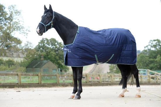 Couverture d'écurie pour cheval SD Bucas Quilt 150g