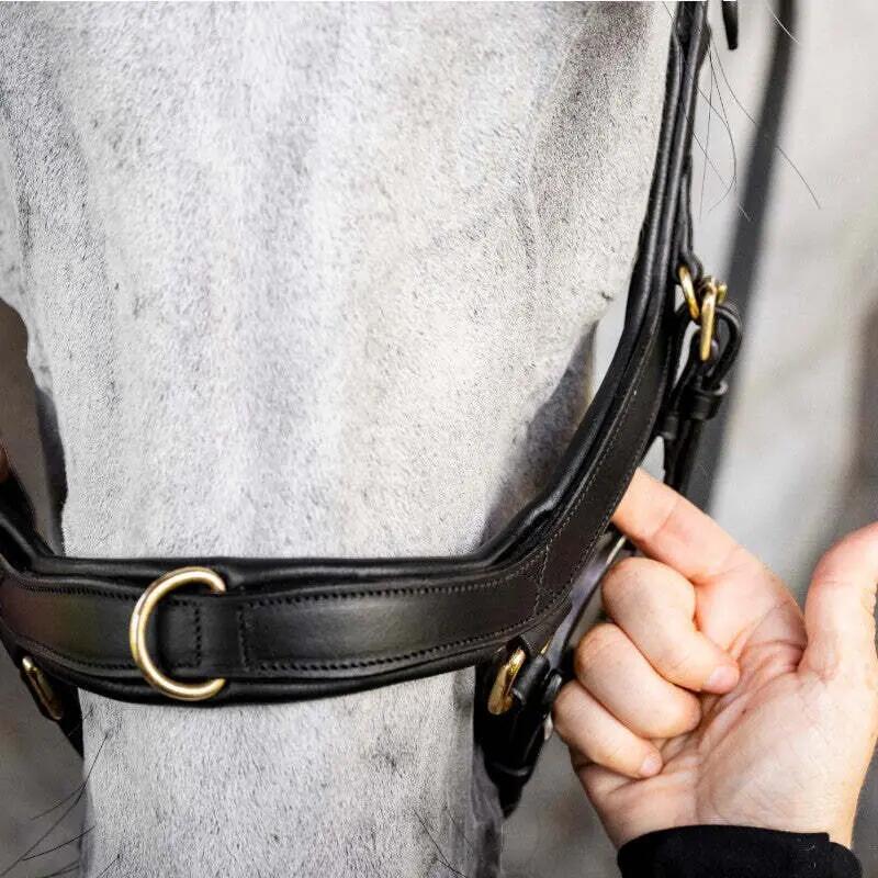 Bridon équitation anatomique Horseware Micklem Multi 5/6