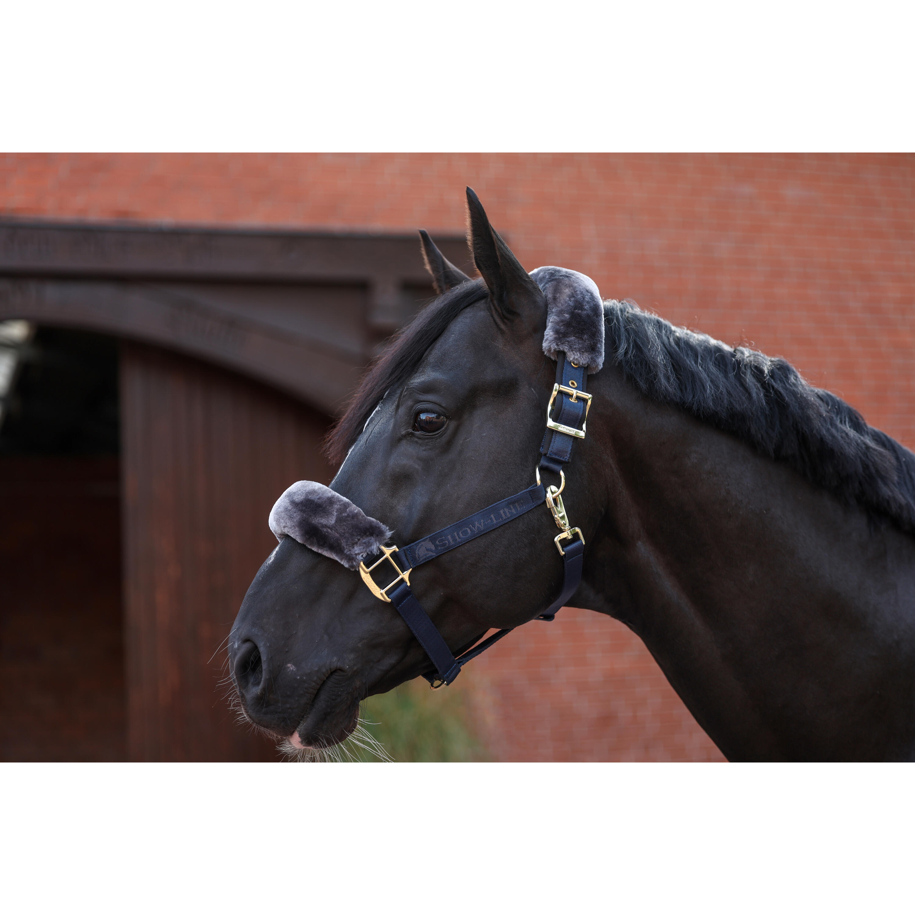 Longeerlijn  Navy/grey Show-line Full Fur Halter 2/3