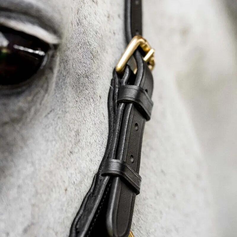 Bridon équitation anatomique Horseware Micklem Multi 4/6
