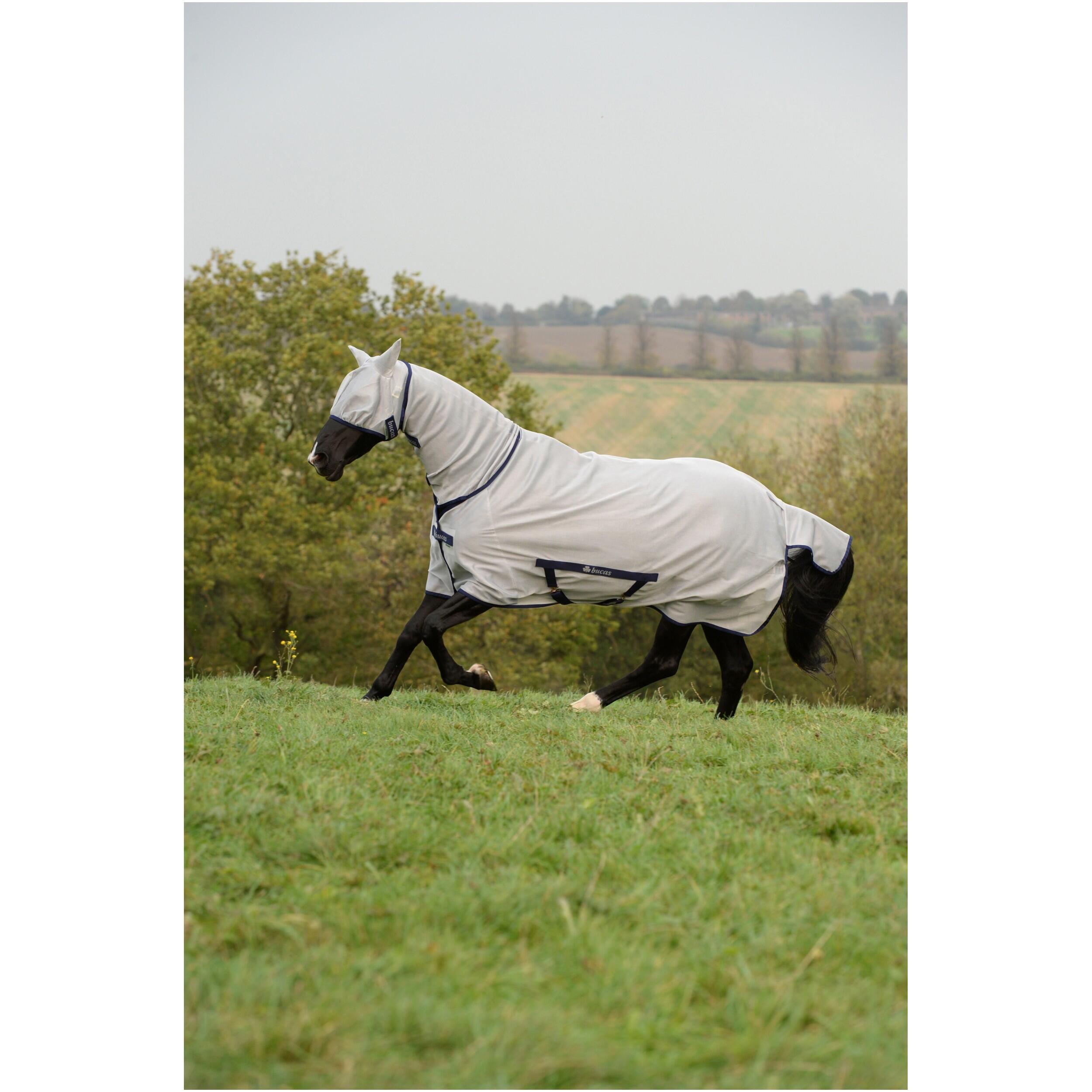 Manta antimoscas para caballos Bucas Freedom 1/4