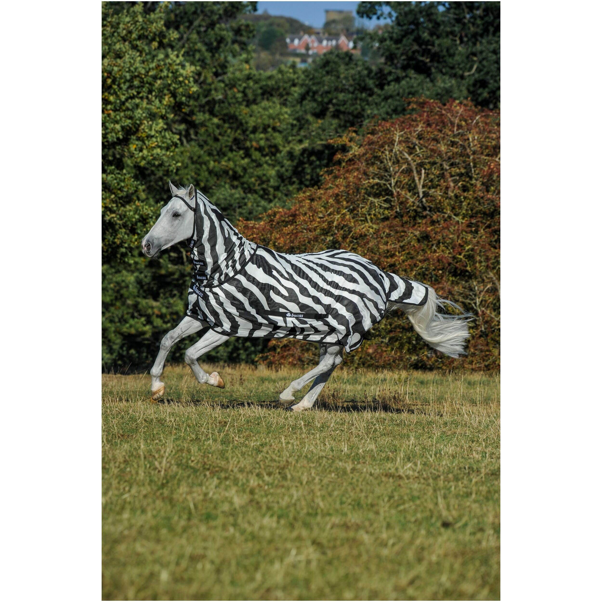 BUCAS Hlava hřebce proti mouchám s krytem na krk Buzz-Off Zebra