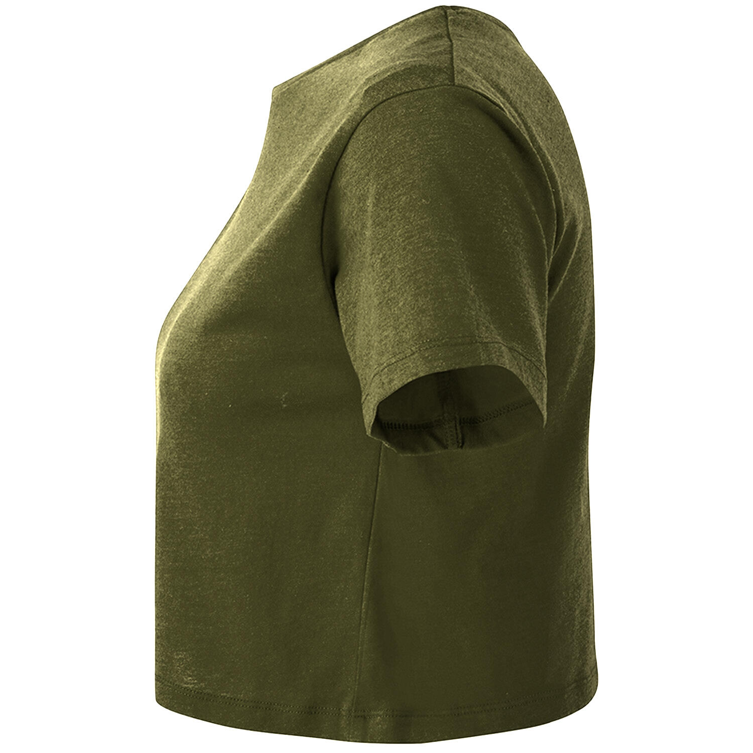 Womens/Ladies Crop Top (Olive) 3/3