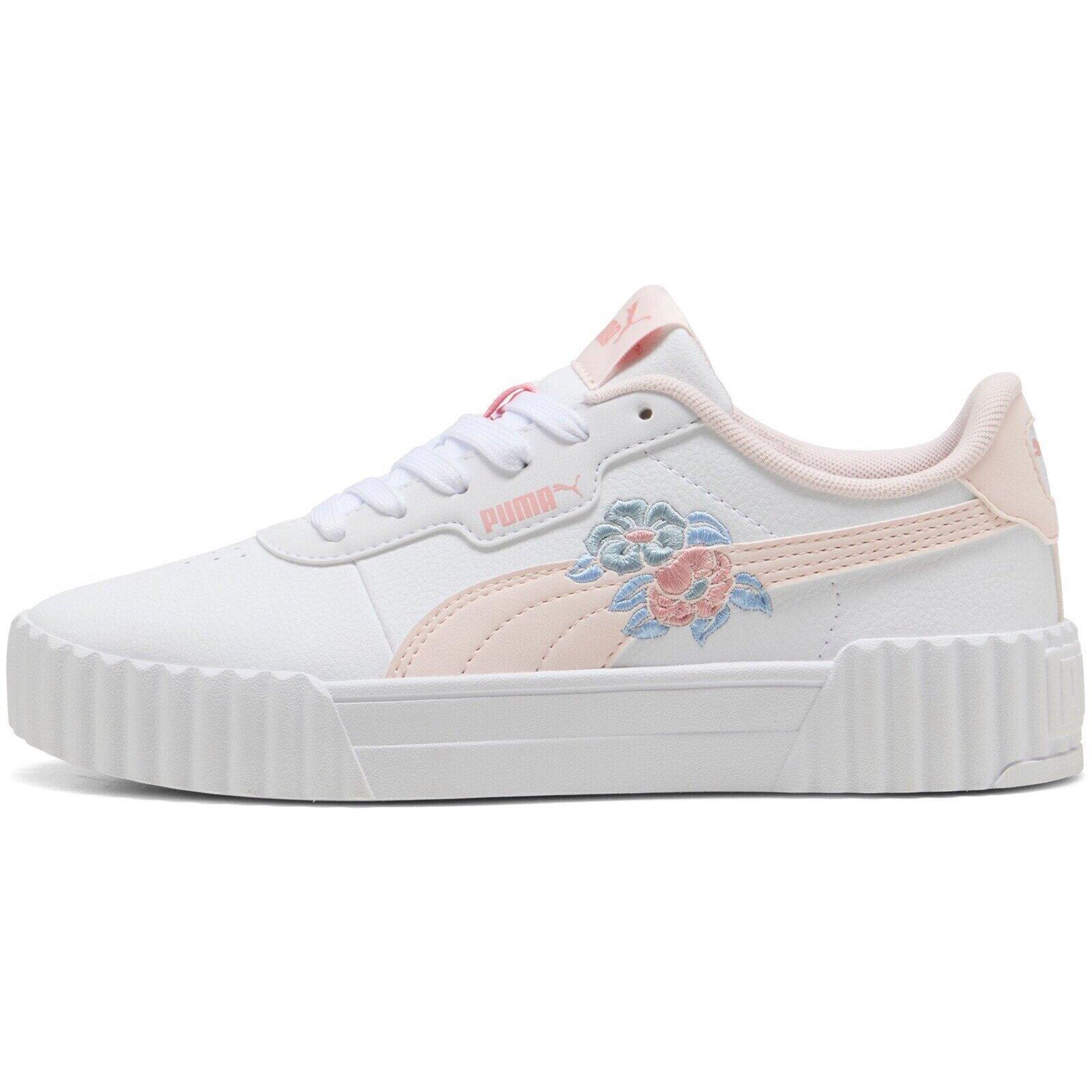 PUMA picture