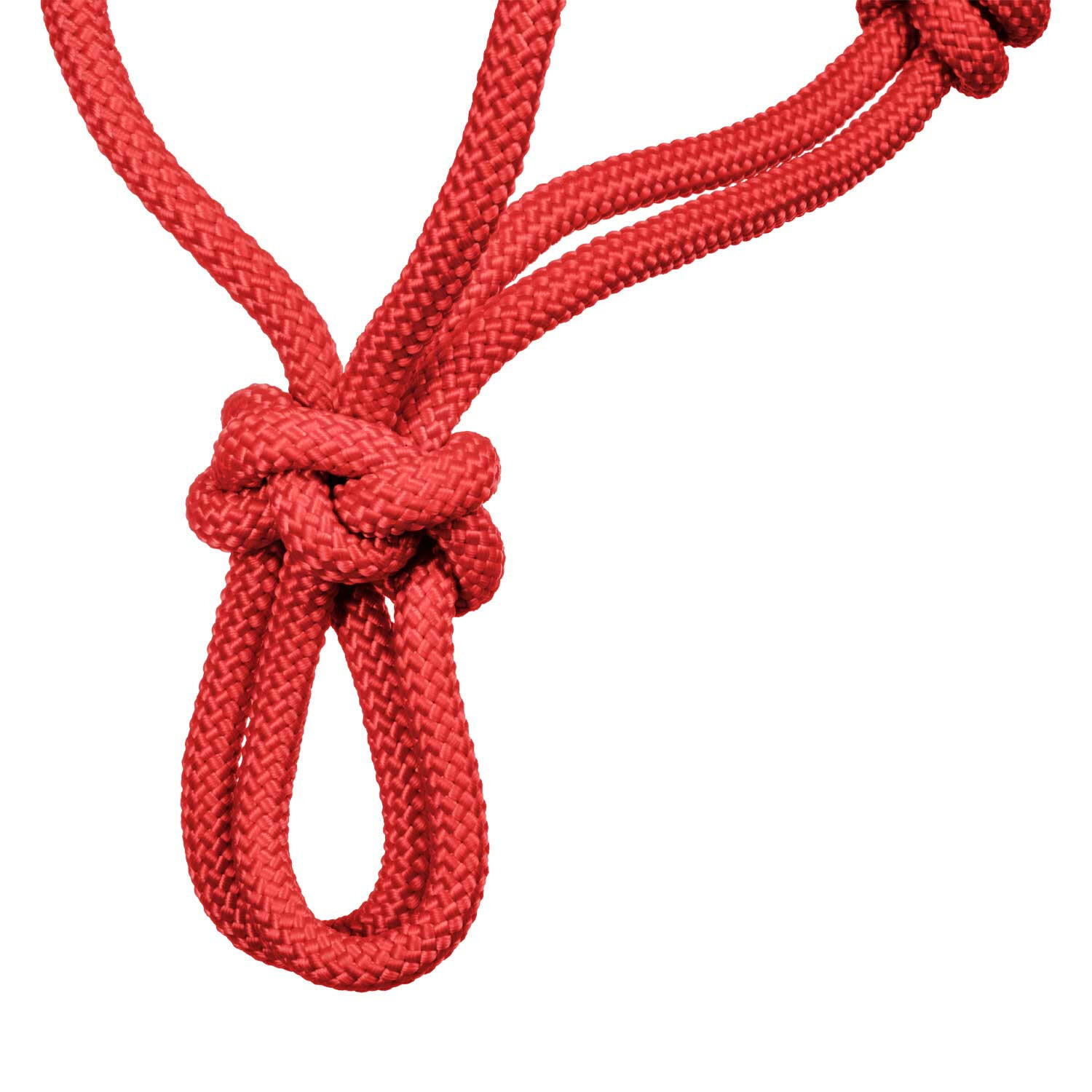 Cavezza corde nouée soft control a1706006-07 4/4
