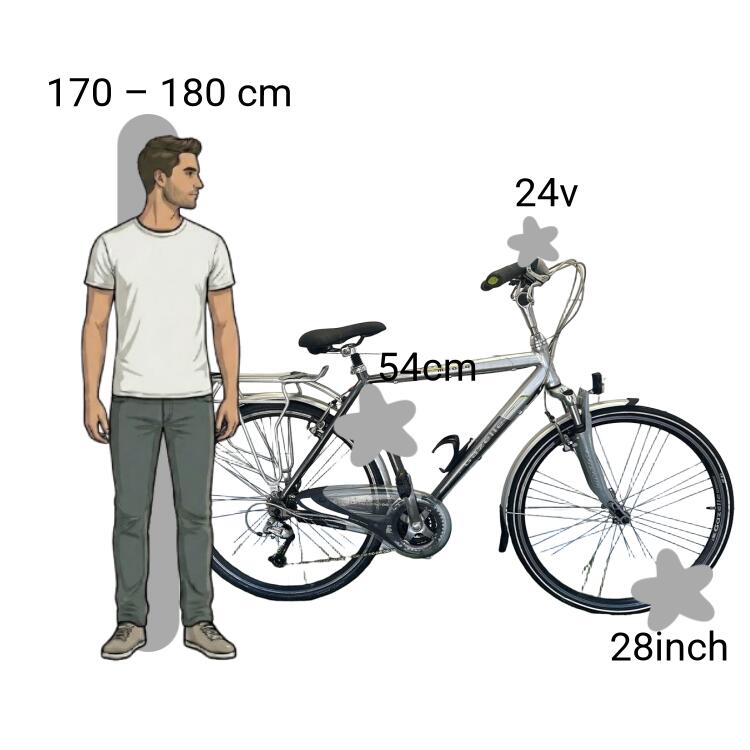 Bicicletta usata Gazelle Medeo 2/4