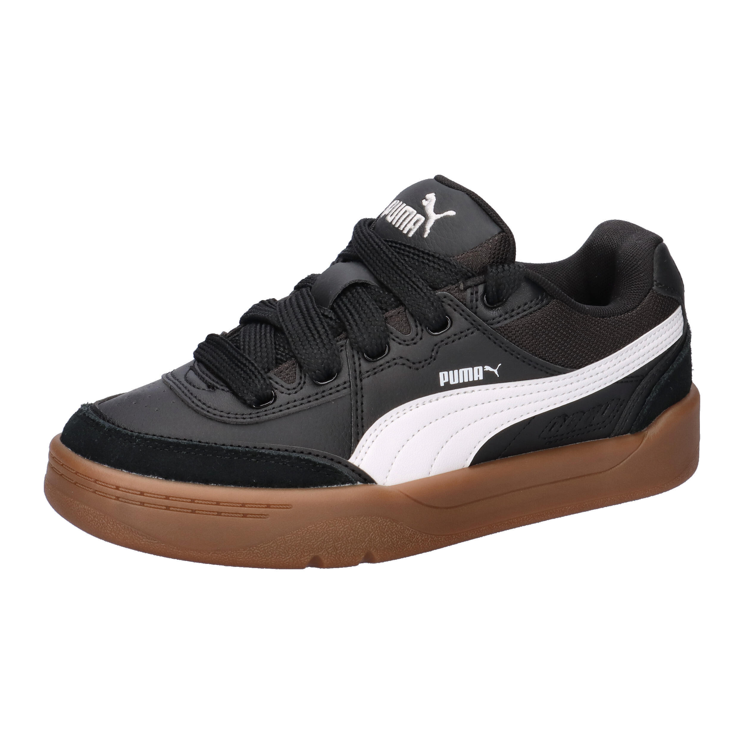 PUMA picture