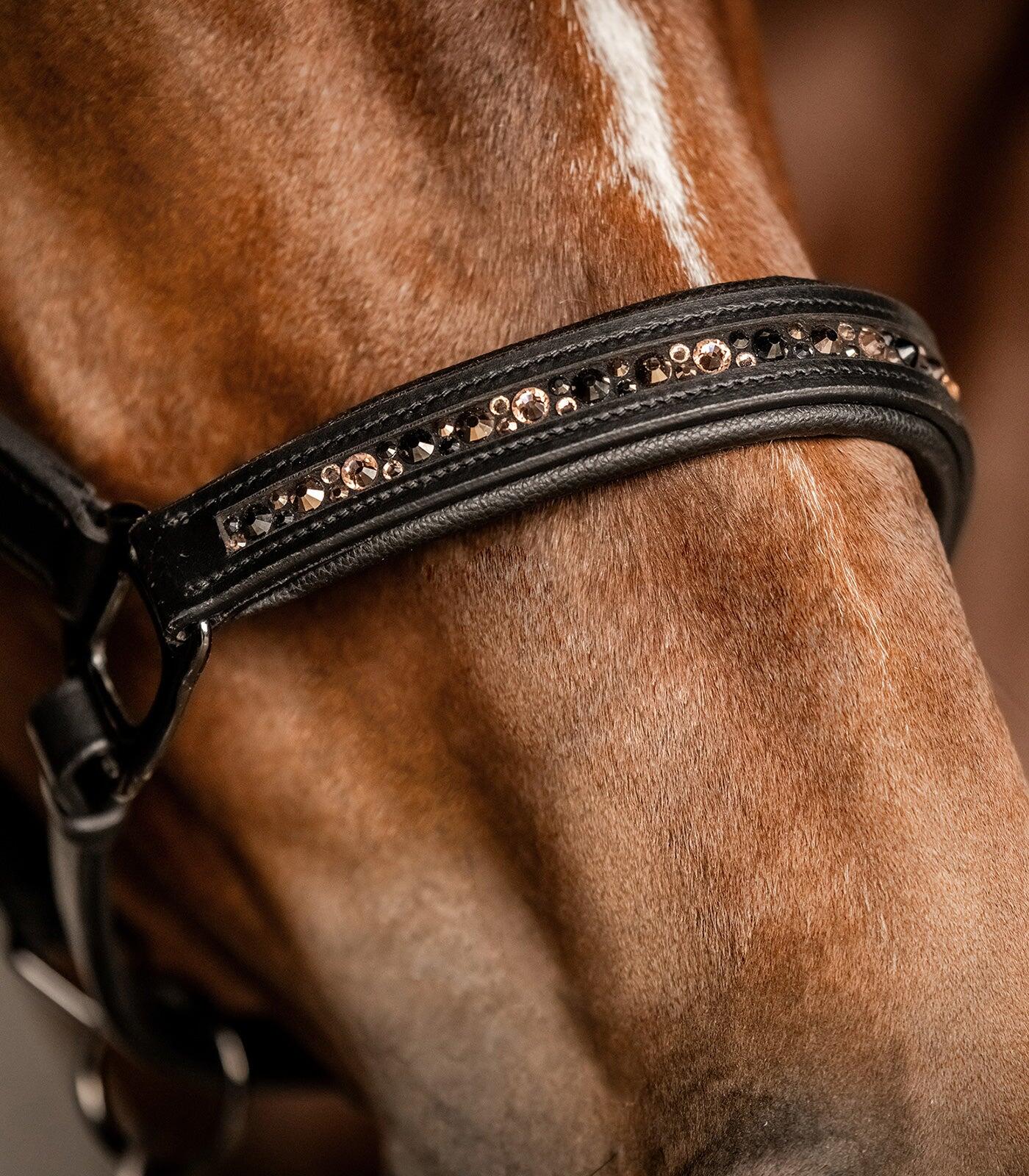 Cavezza in cuoio per pony Waldhausen Crystal 3/5