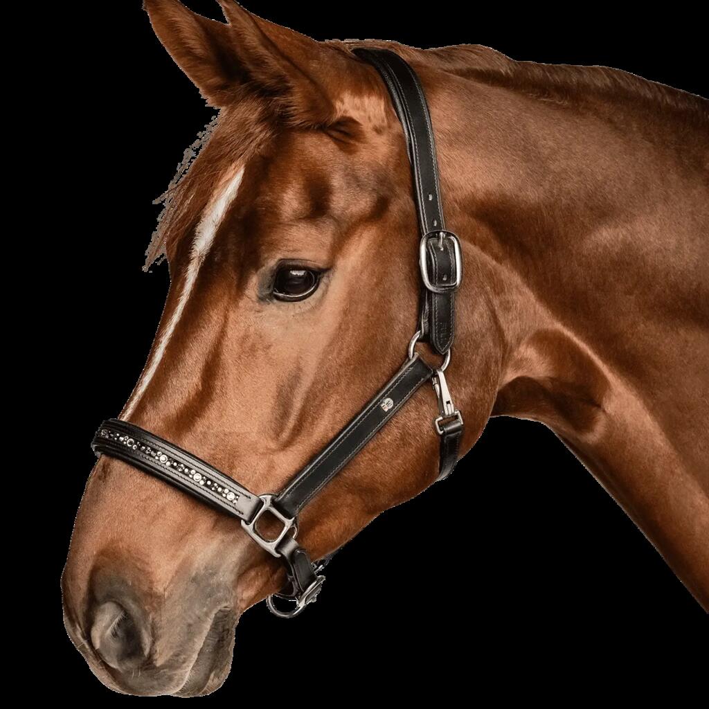 Waldhausen X-Line leren Halster Crystal - Zwart (Cob)