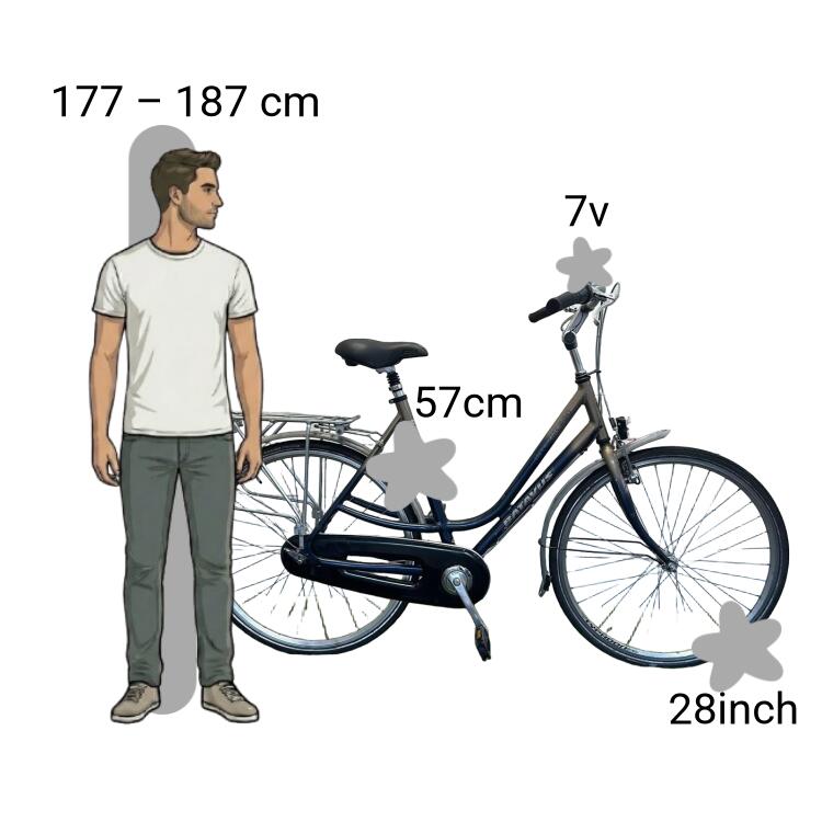 Tweedehands Batavus Intermezzo 2/4