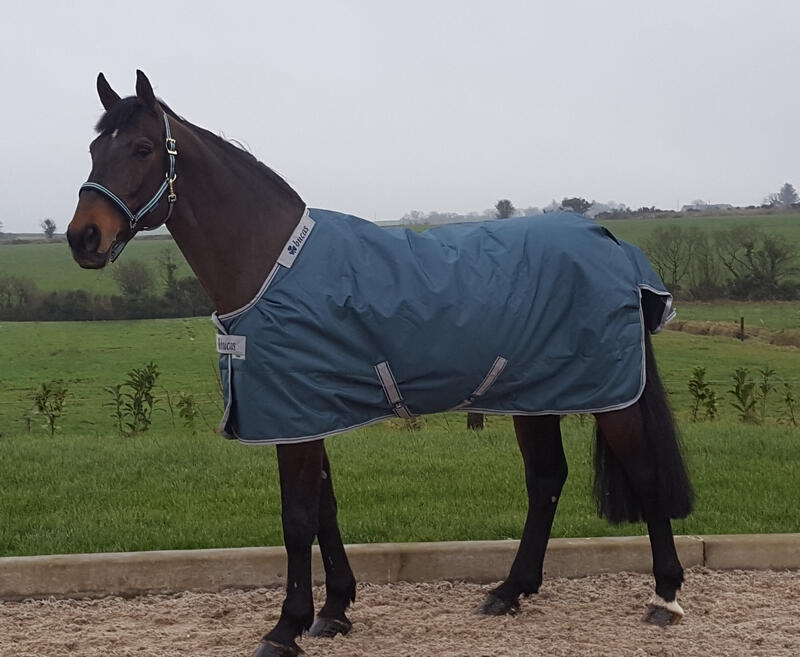 Manta impermeable para caballos Bucas Atlantic Turnout 50g 3/4