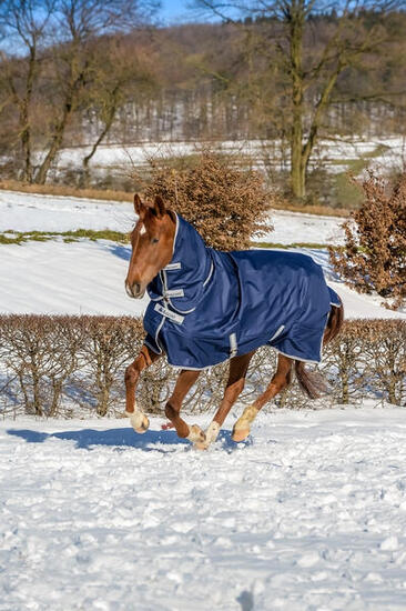 Couverture d'extérieur pour cheval Bucas Freedom Turnout 150g