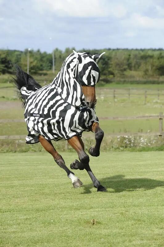 Fliegendecke für Pferde mit Halsabdeckung Bucas Buzz-Off Zebra 4/4