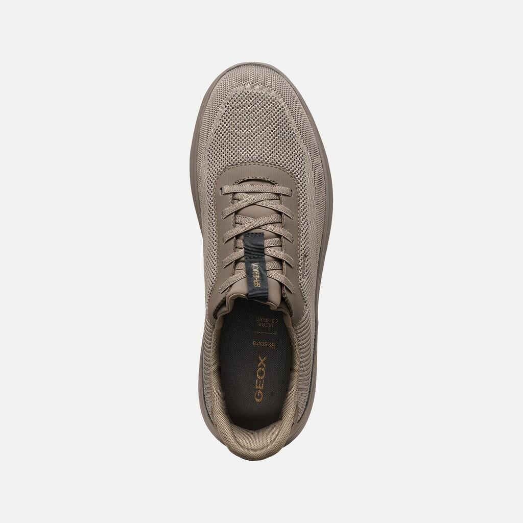 Baskets Homme SPHERICA PLUS MAN Taupe 6/7