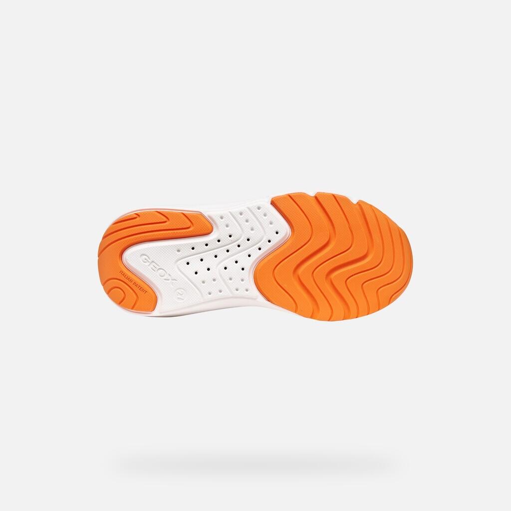 Baskets Garçon J PRO-RAN BOY Bleu Roi/Blanc 7/7