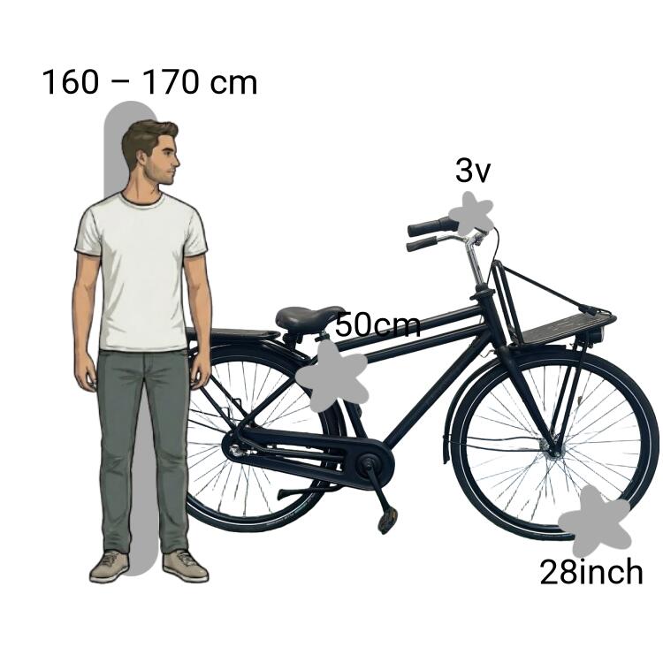 Bicicleta usada Batavus Packed 2/4