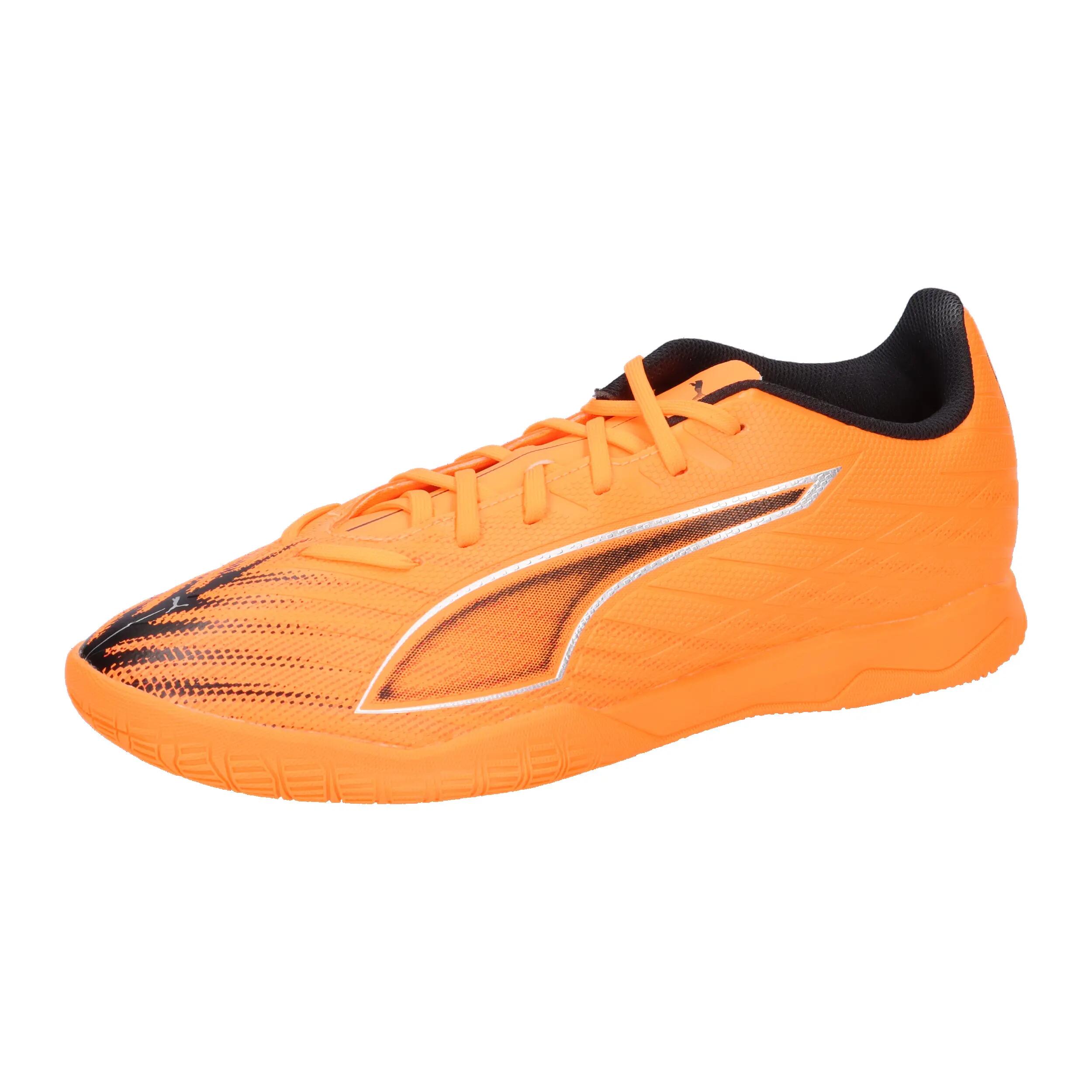 PUMA picture