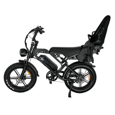 V20 pro family bike met hydraulische remmen 250watt motorvermogen