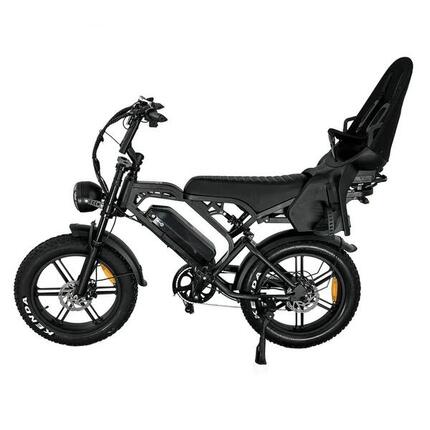 V20 pro Family Bike met Hydraulische Remmen 250Watt motorvermogen