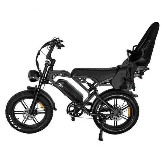 V20 pro Family Bike met Hydraulische Remmen 250Watt motorvermogen