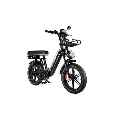 Lotdm200 pro opvouwbare elektrische fiets, 250 watt motorvermogen