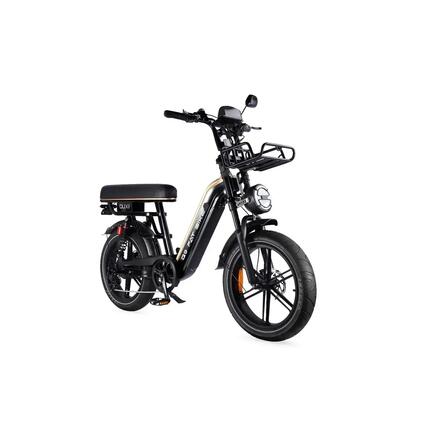 LOTDM200 Pro opvouwbare elektrische fiets, 250 watt motorvermogen