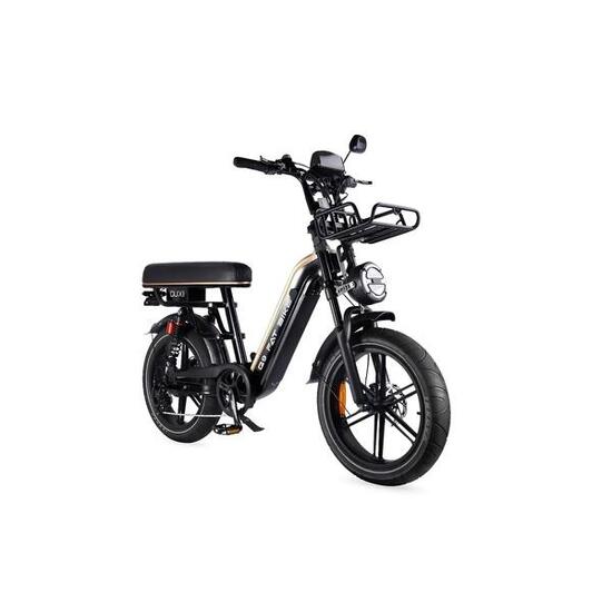 LOTDM200 Pro opvouwbare elektrische fiets, 250 watt motorvermogen