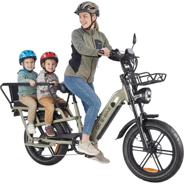 XWLX09 Pro opvouwbare elektrische fiets, 250 watt motorvermogen 1/7