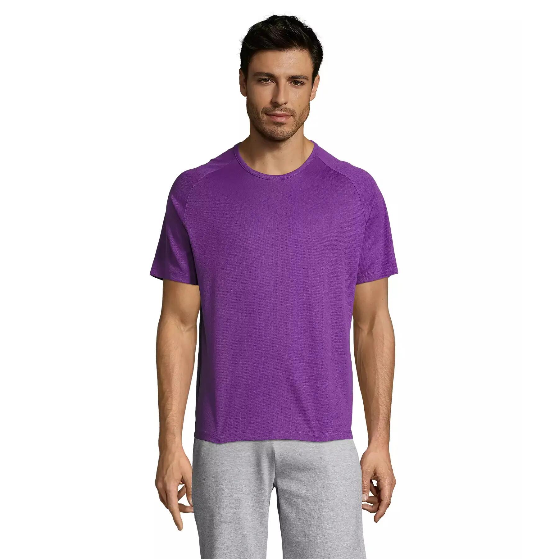 purple / dark purple
