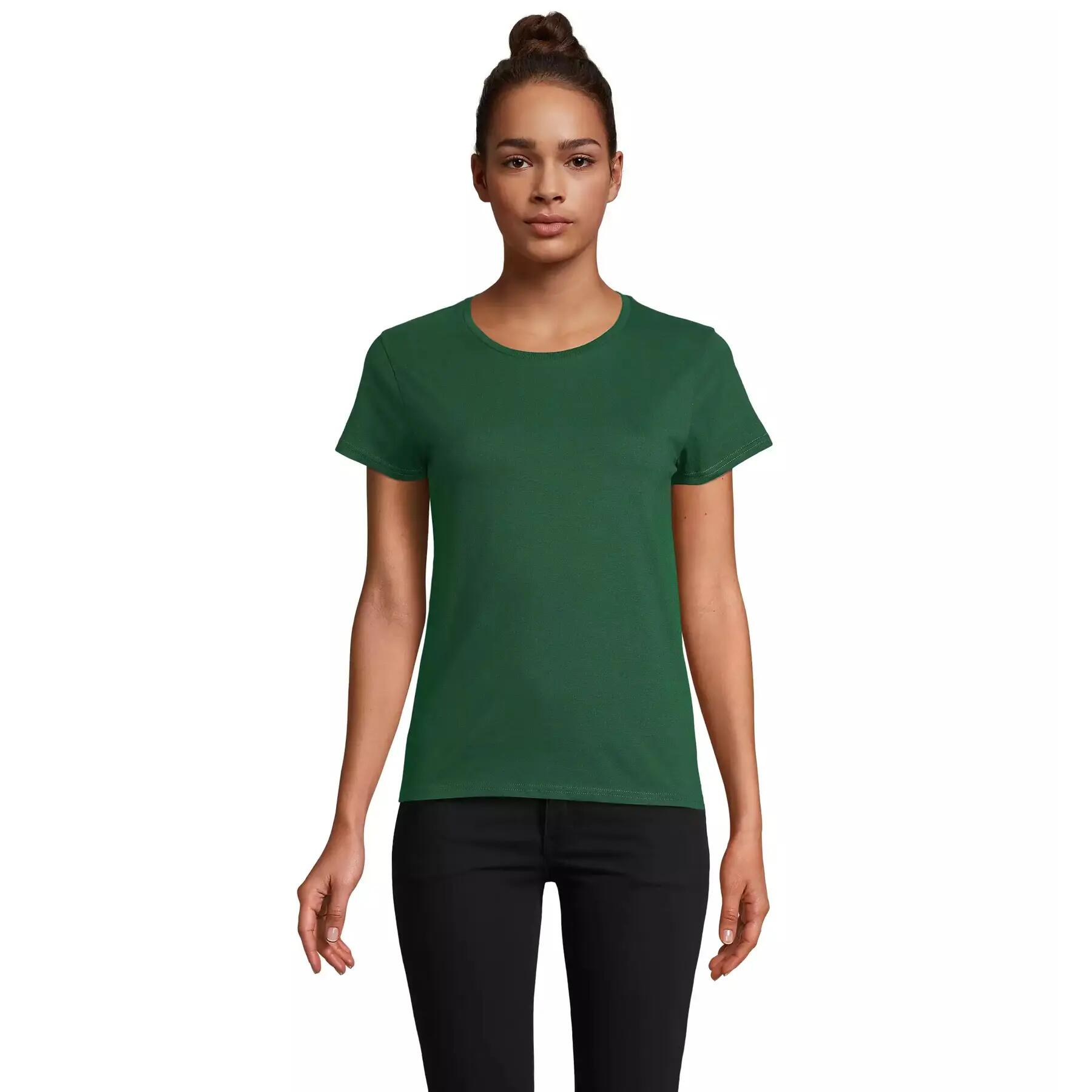 vert / vert mousse / vert fonce