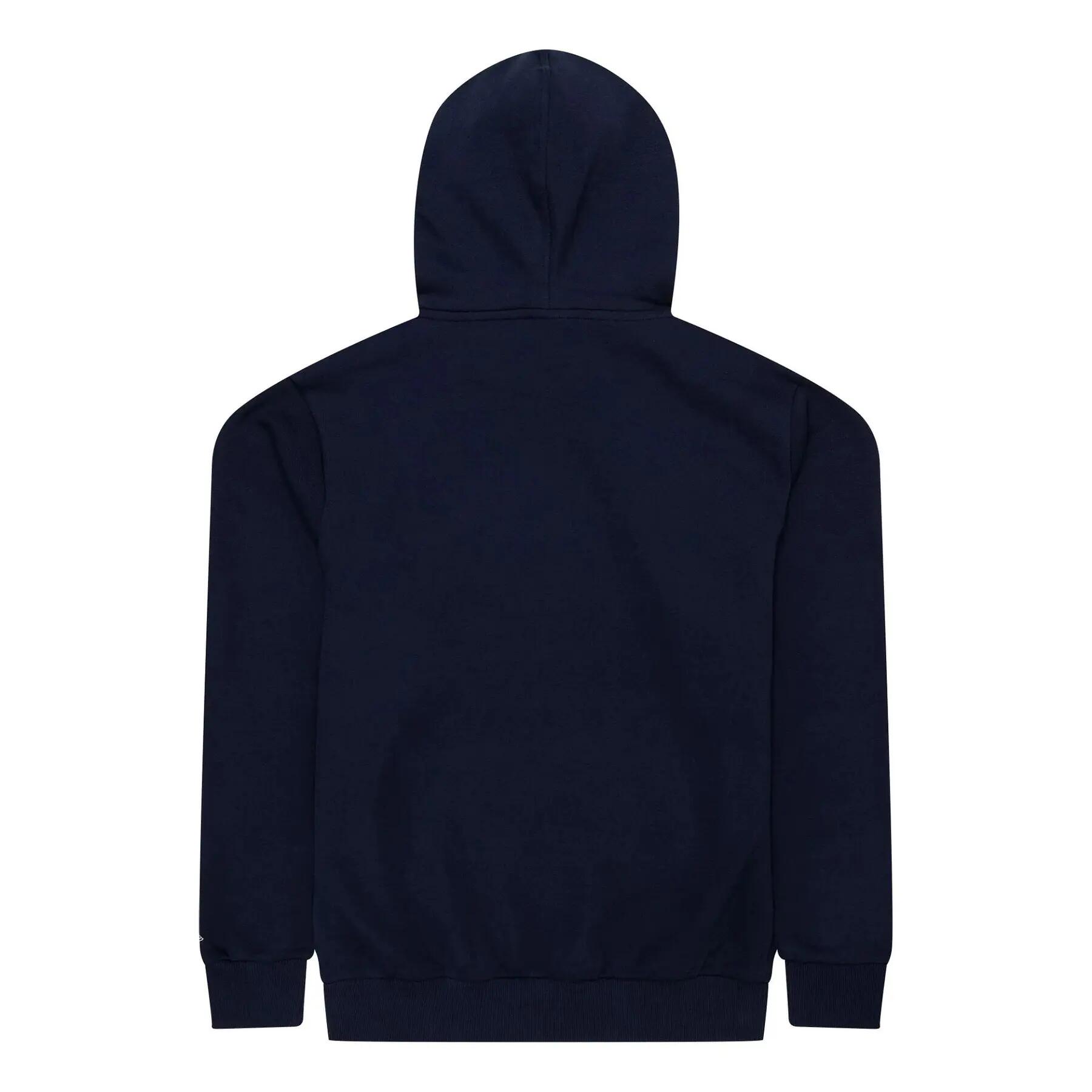 Sweatshirt à capuche Minnesota Twins Nos MLB Regular 2/3