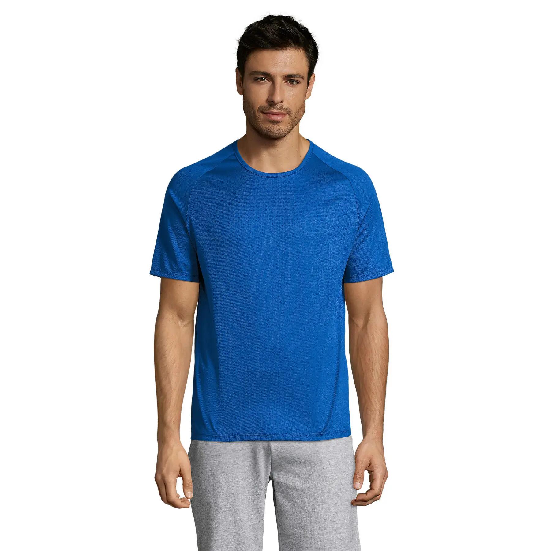 blue / royal blue / electric blue