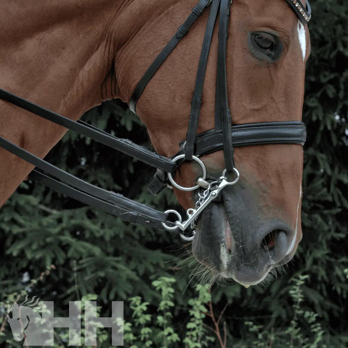Dressuurstang Sprenger Sensogan Niro 16mm 3/3