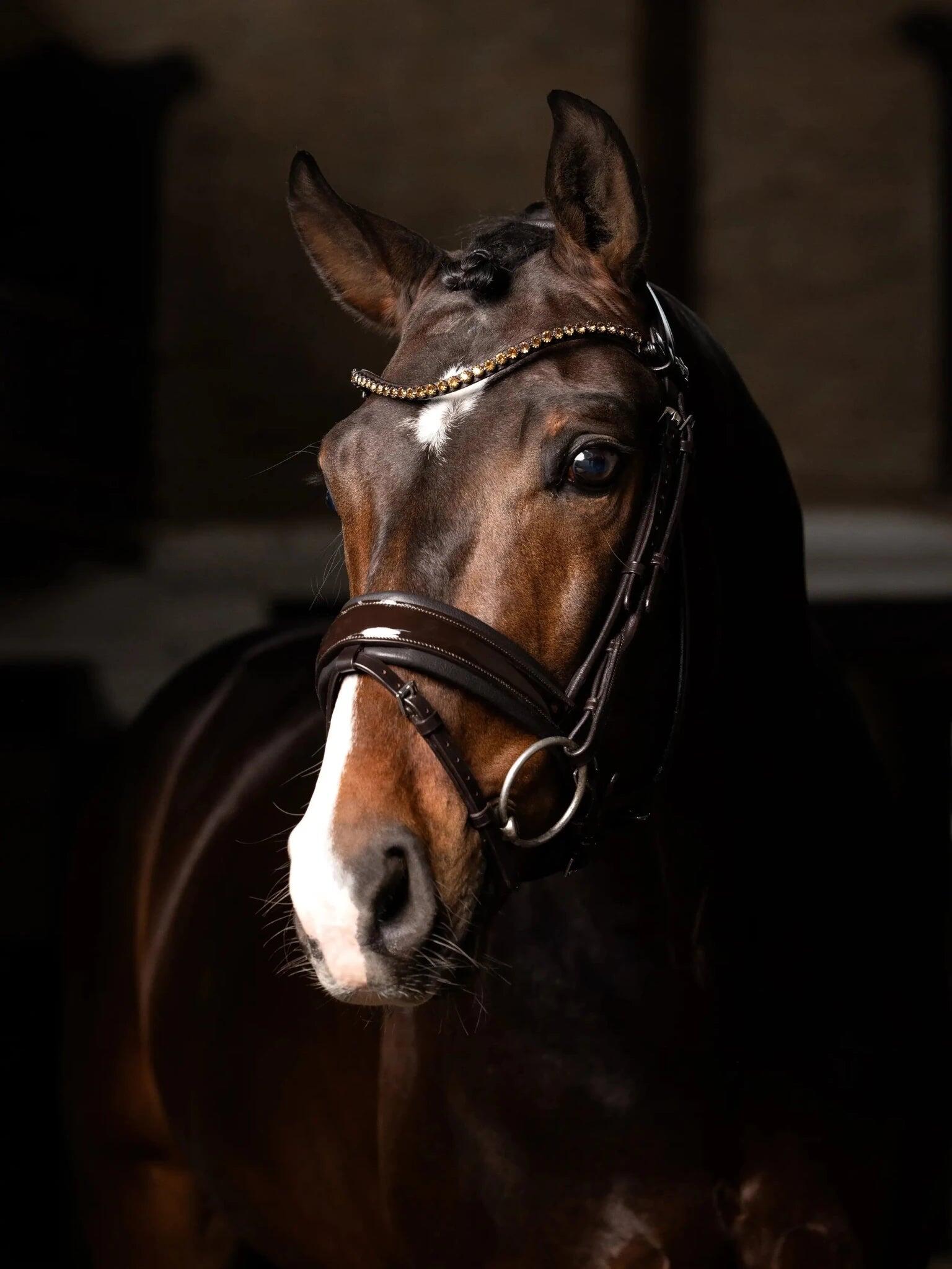 Lemieux Kudos Patent Dressage Hoofdstel Zwart - 5/7