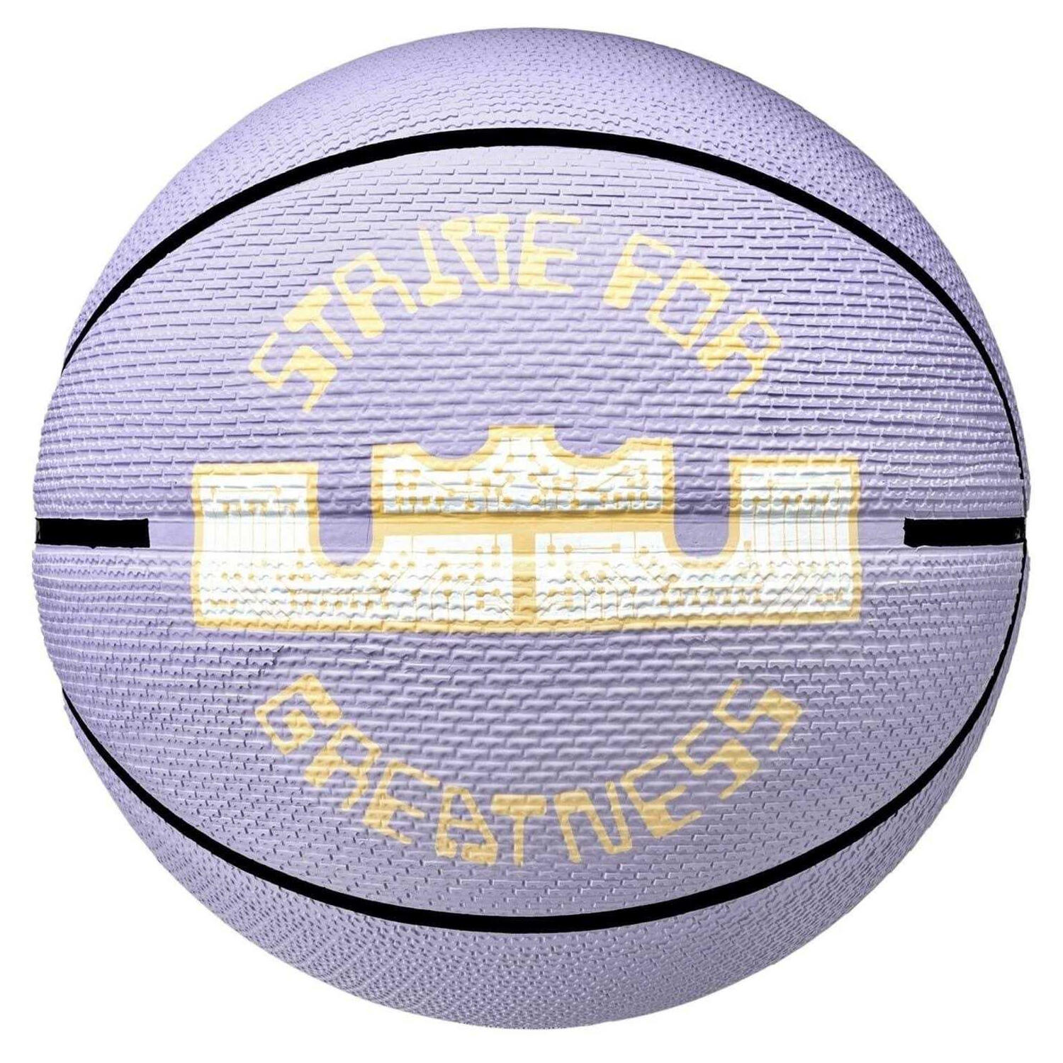 Pallacanestro Firma Nike Lebron James Viola 7 2/4